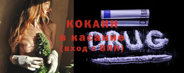 прущие грибы Богородицк