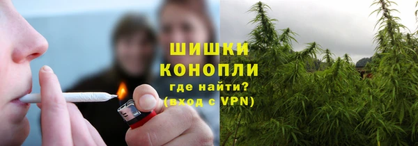 ПСИЛОЦИБИНОВЫЕ ГРИБЫ Белокуриха