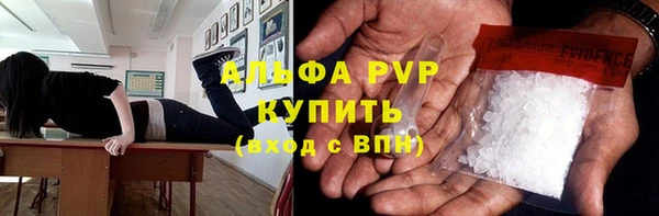 ПСИЛОЦИБИНОВЫЕ ГРИБЫ Белокуриха