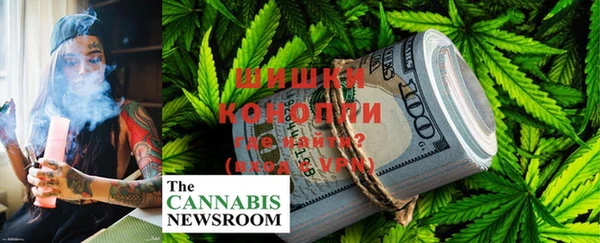 ПСИЛОЦИБИНОВЫЕ ГРИБЫ Белокуриха