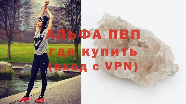 ПСИЛОЦИБИНОВЫЕ ГРИБЫ Белокуриха