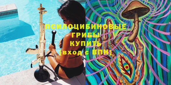 ПСИЛОЦИБИНОВЫЕ ГРИБЫ Белокуриха